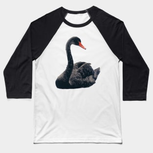 Black Swan Baseball T-Shirt